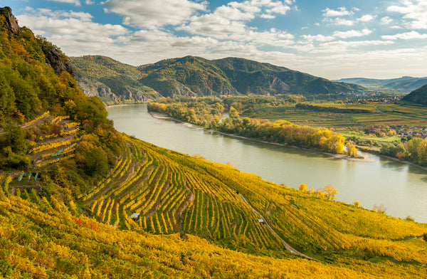 Austrian Winegrowing Regions